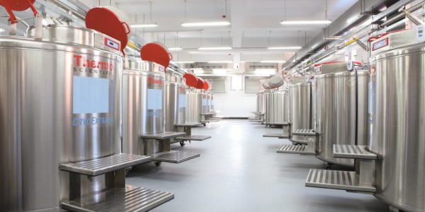 Epoxyvloeren: de voordelen en toepassingen